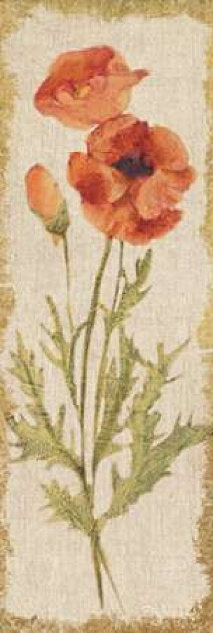 Poppy Panel on White Vintage Poster Print by Cheri Blum - Item # VARPDX24614